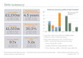 Debt summary