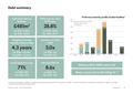 Debt summary